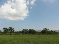 DSC01101a.jpg