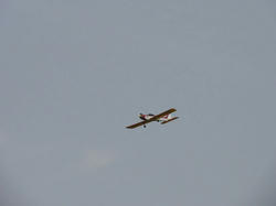 DSC01219h.jpg