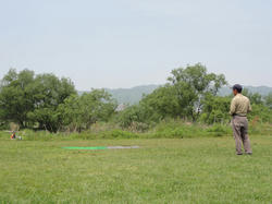 DSC01302.jpg