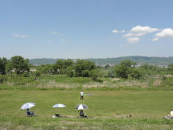 DSC01317a.jpg