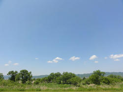 DSC01319c.jpg