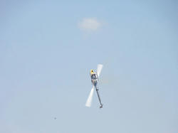 DSC01336o.jpg