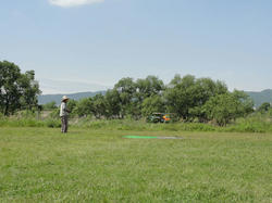 DSC01353af.jpg