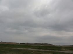 DSC01393.jpg