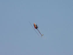 DSC01421.jpg