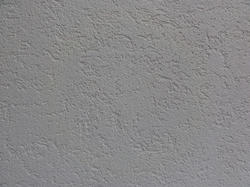 DSC01800c.jpg