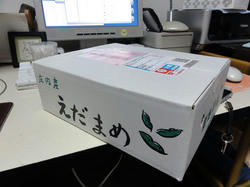 DSC02771_small.jpg
