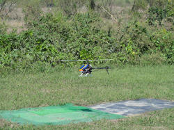 DSC03259_Blog.jpg