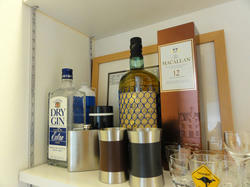 GIN.jpg