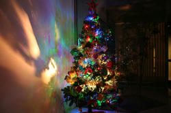 IMG_1185_Blog.jpg