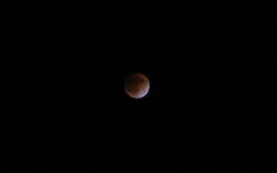 DSC03533.jpg