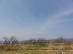 DSC03865.jpg