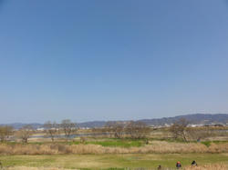 DSC03902.jpg