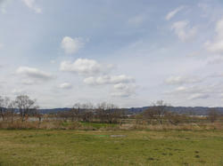 DSC03992.jpg