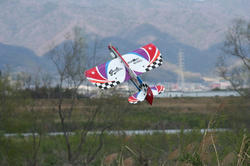 IMG_2195.jpg