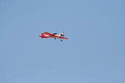 IMG_2553.jpg