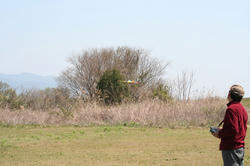 IMG_2570.jpg