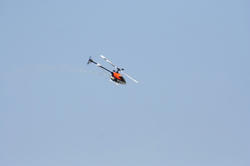 IMG_2591.jpg