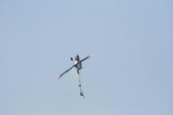 IMG_2600.jpg