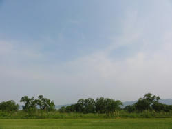 DSC04349.jpg