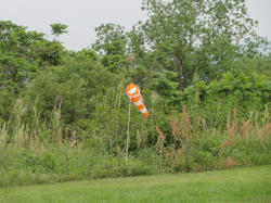 DSC04355.jpg