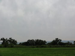 DSC04441.jpg