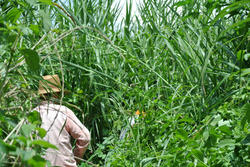 2012081203.jpg