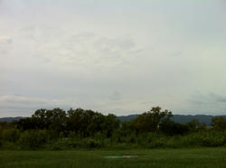 IMG_1594.jpg