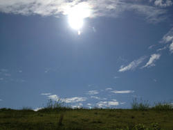 IMG_1871.jpg