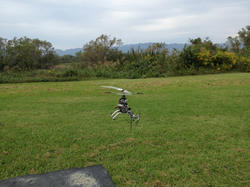 IMG_1893.jpg