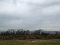 IMG_2890.jpg