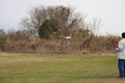IMG_0049.jpg