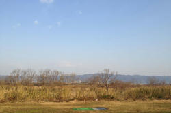 IMG_3085.jpg