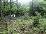 DVC00028.jpg