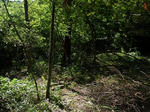 d039757d.jpg