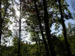 RIMG0023.jpg
