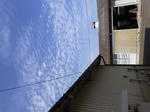 071cf313.jpg