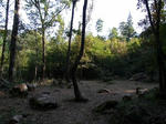 RIMG0103.jpg