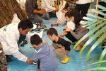 DSC00640.jpg