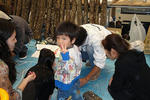 DSC00642.jpg