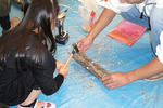 DSC00644.jpg