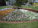 CA390026b.jpg