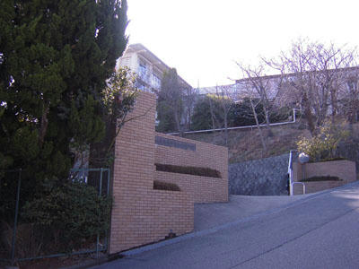 100320-2.jpg