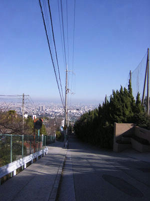 100320-3.jpg