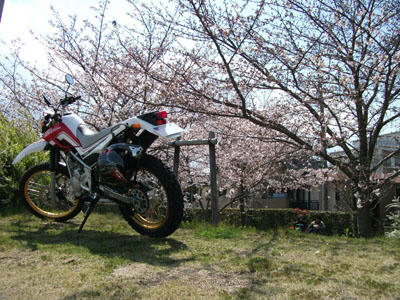 100405-01.jpg