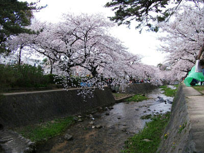 100405-06.jpg