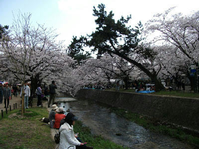 100405-07.jpg