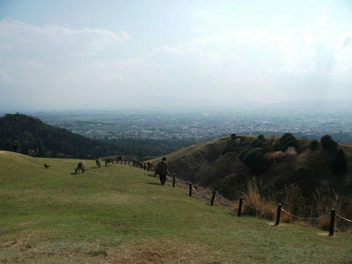 120417-12.jpg