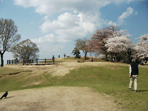 120417-13.jpg