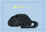 fimg_1207144781.png